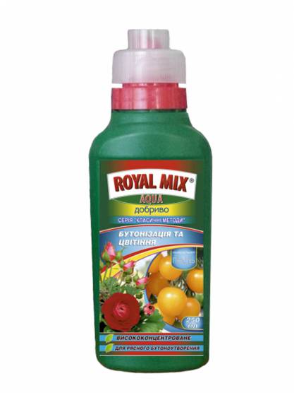 Royal Mix Aqua Бутонизация и цветение Классический метод